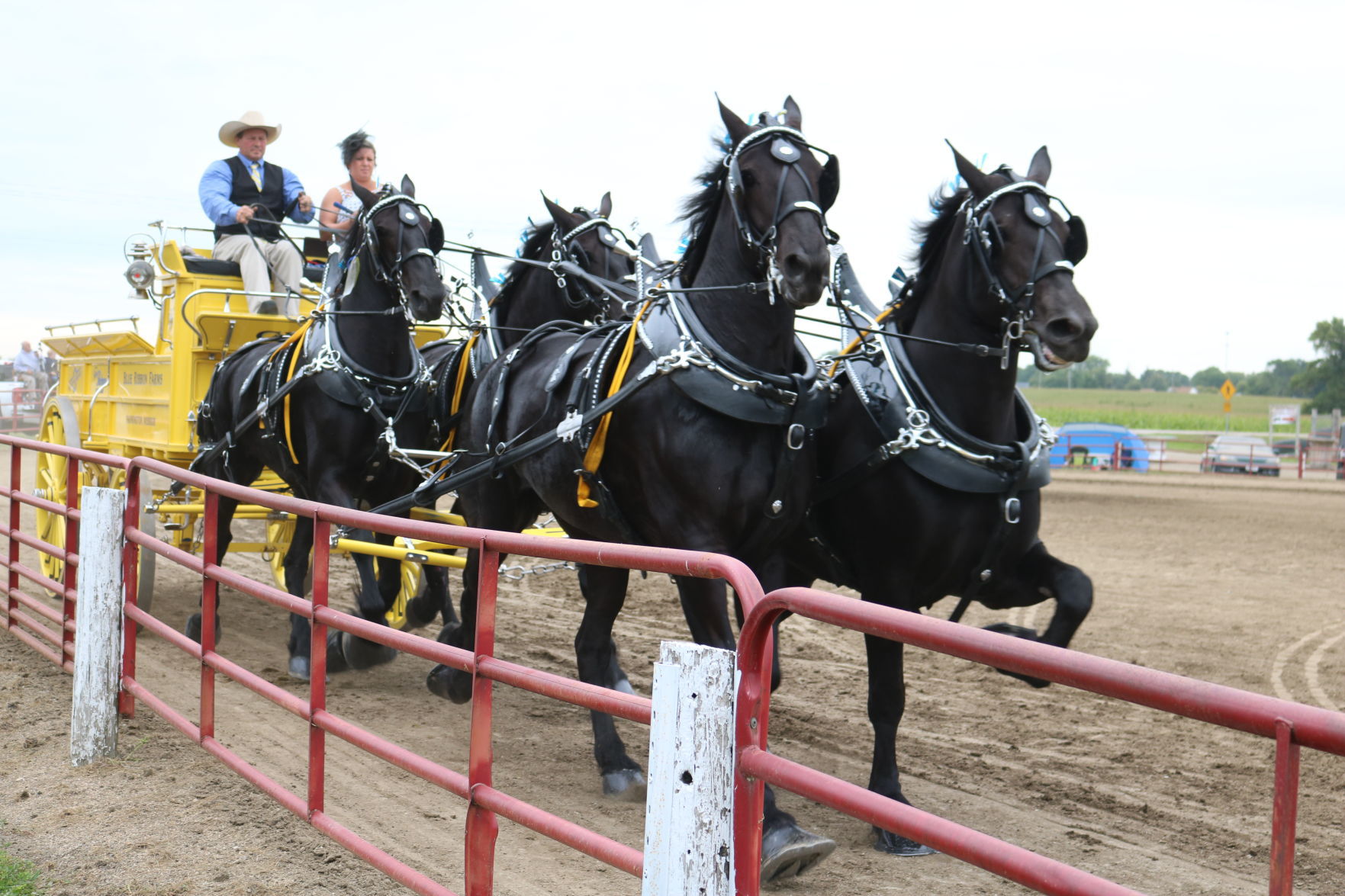 4-Horse Hitch 5